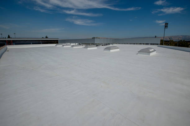 Best Metal Roofing Installation  in Monte Alto, TX