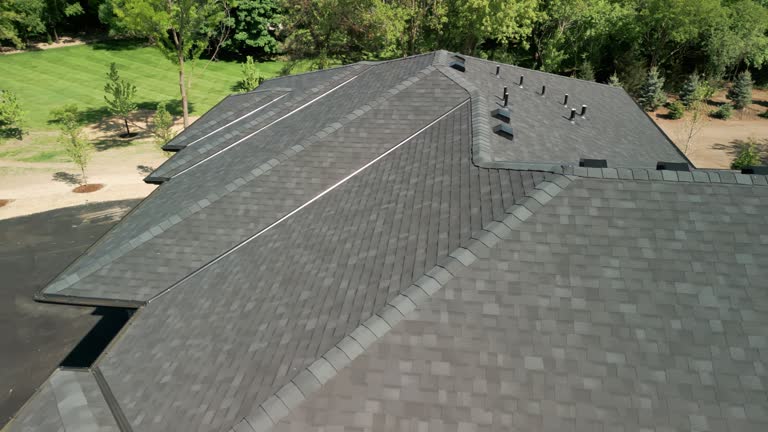 Best Roof Maintenance and Cleaning  in Monte Alto, TX
