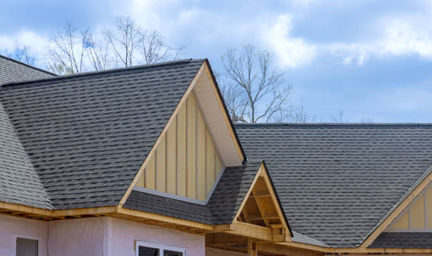 Trusted Monte Alto, TX Roofing Service Experts
