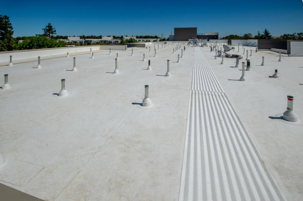 Best Hot Roofs  in Monte Alto, TX